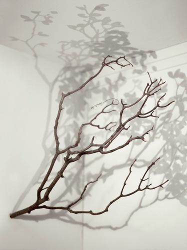Alessandro Lupi, Tree, mixed media, 2013 Alessandro Lupi, Tree, mixed media, 2013